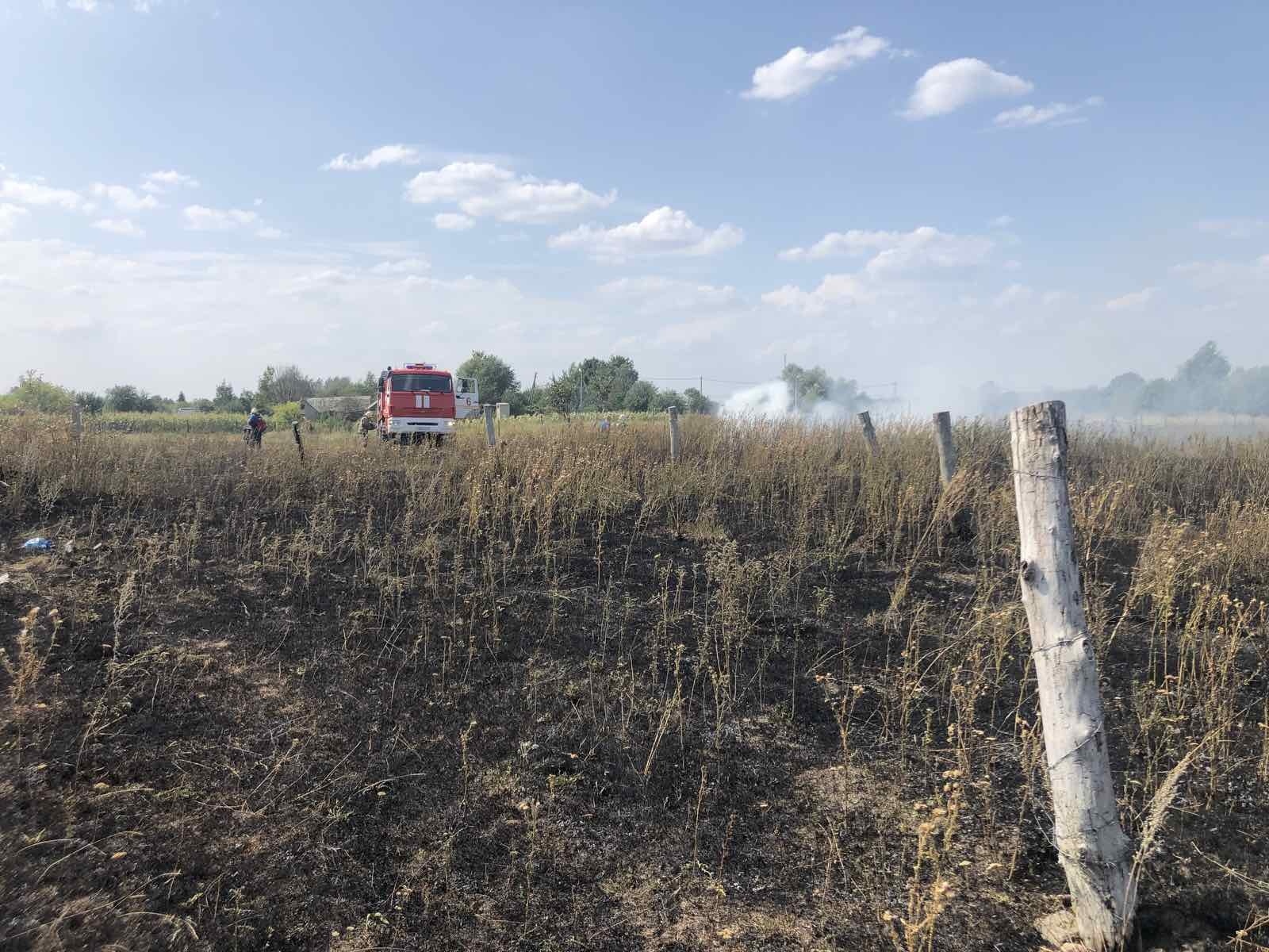 Не поджигайте сухую растительность, это может обернуться большой бедой |  19.08.2021 | Белгород - БезФормата