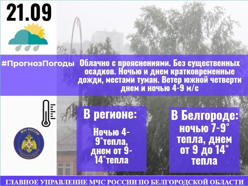 Белгород на неделю. Погода в Белгородской области на неделю. Погода в Белгороде 15 сентября. Белгородская область погода на 10 дней. Погода в Белгородской области 31.05.2022.