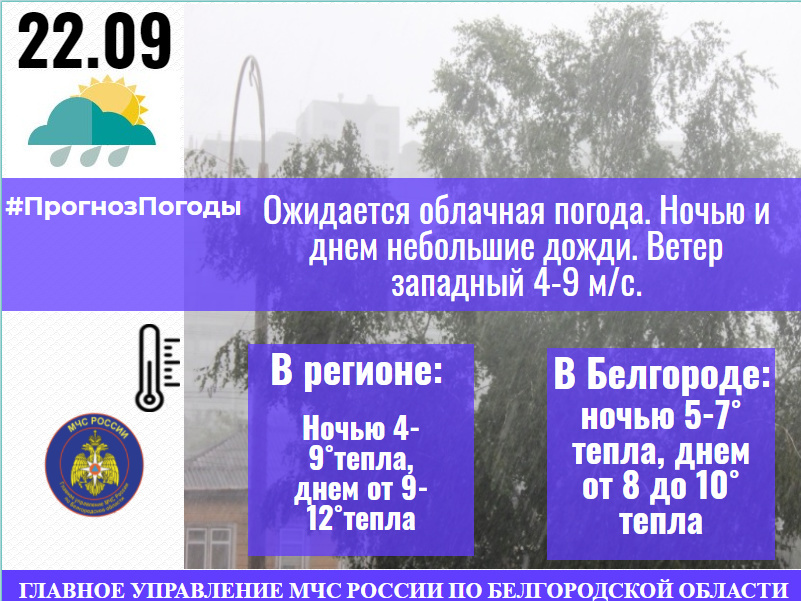 Погода в белгороде на неделю аэропорт. Погода в Белгородской области на неделю. Погода в Белгороде 15 сентября. Белгородская область погода на 10 дней. Погода в Белгородской области 31.05.2022.